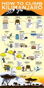How to Climb Kilimanjaro Infographic