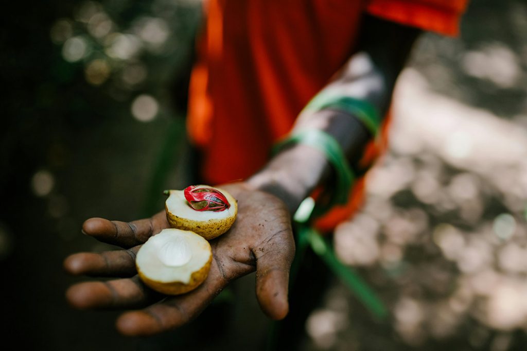 Zanzibar Nutmeg