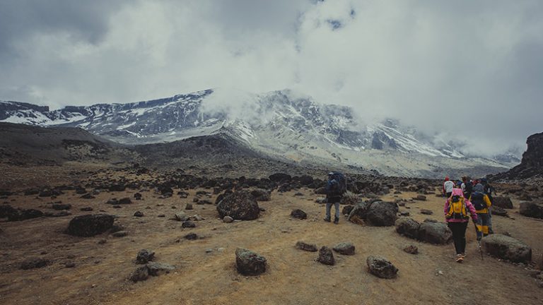 Best Time to Climb Kilimanjaro: Month by Month | Kilimanjaro Sunrise A ...