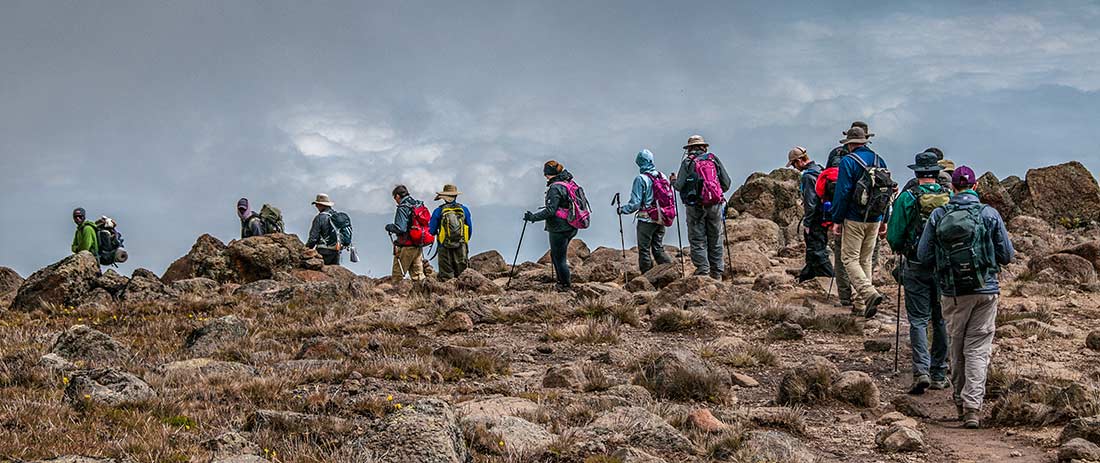 group climbing Kilimanjaro for charity