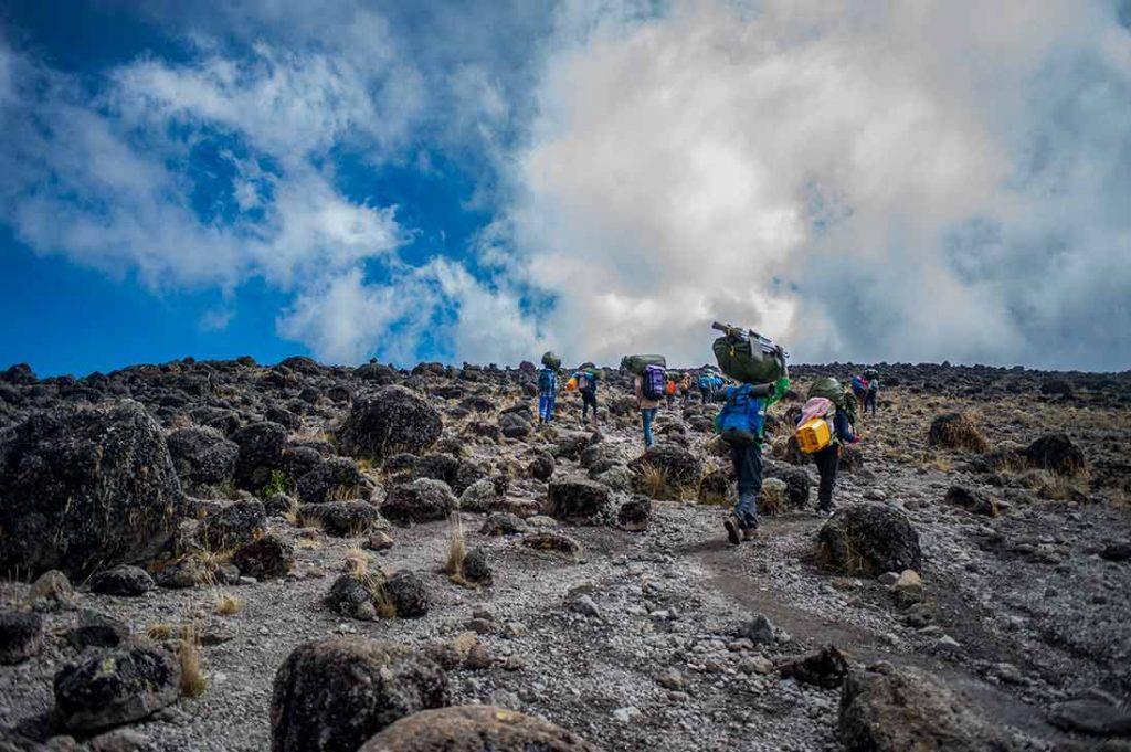 how many hours a day hiking Kilimanjaro