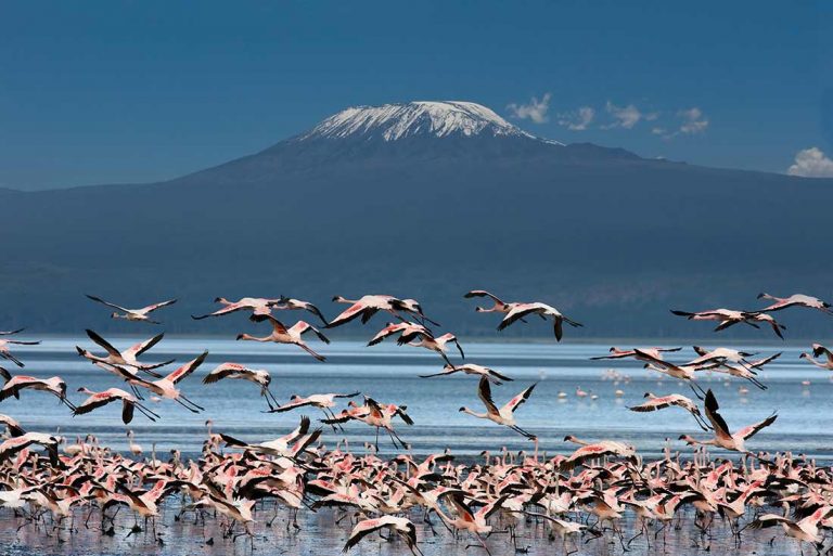 Mount Kilimanjaro