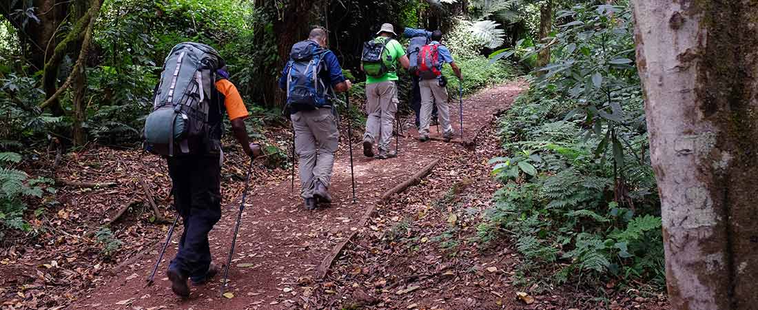 Book a private Kilimanjaro climb