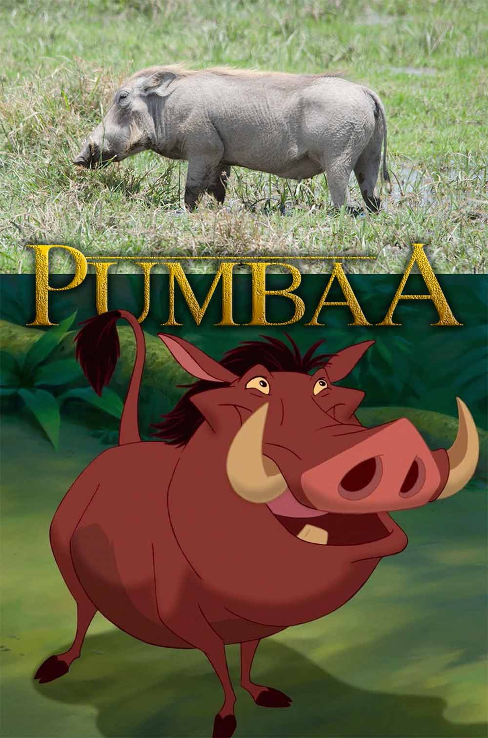 Pumbaa is a warthog