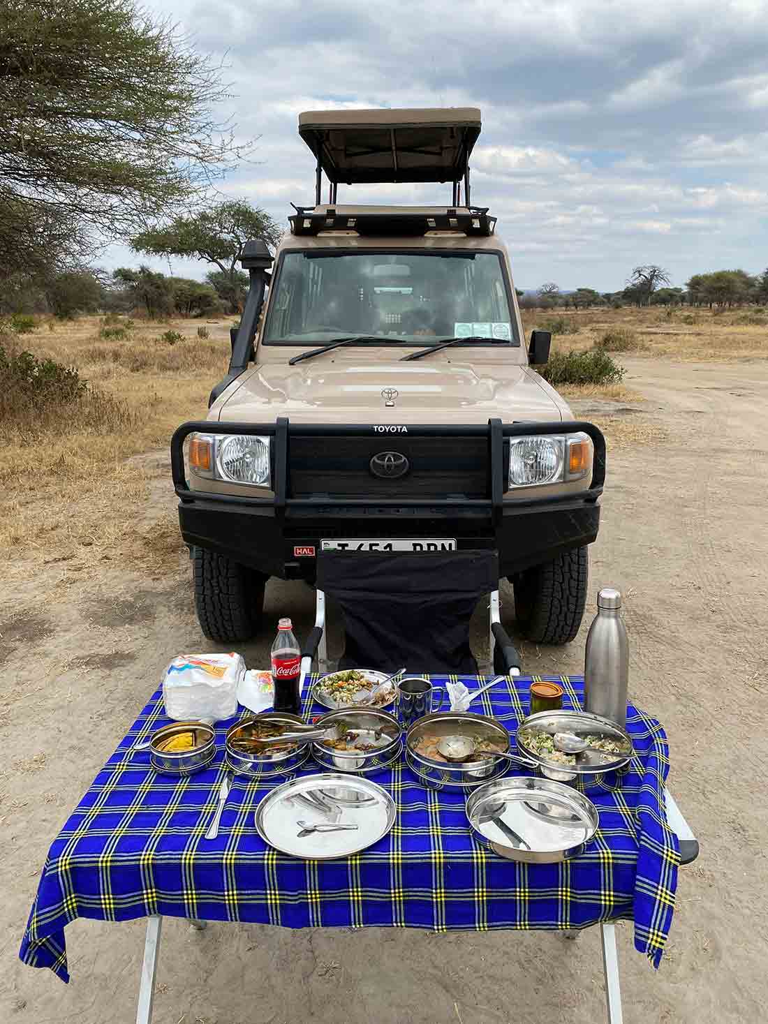 Food on safari