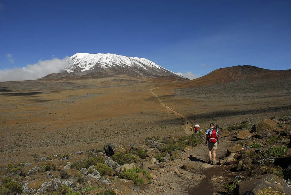 kilimanjaro walkable